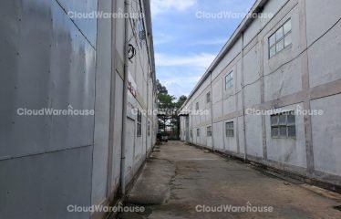 WH166, 5000m2 High Standard Warehouse at Ho Chi Minh