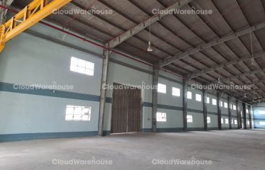 WH166, 5000m2 High Standard Warehouse at Ho Chi Minh