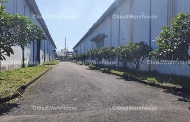 WH167, 3240m2 High Standard Warehouse at Dong Nai