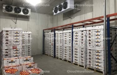 WH252, 1000m2 Cold Storage Warehouse at Ha Noi