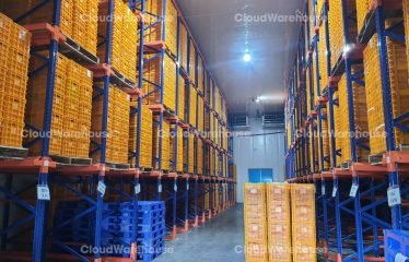 WH263, 1800m2 Cold Storage Warehouse at Bac Ninh