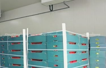 WH302, 200m2 Cold Storage Self Storage at Ho Chi Minh