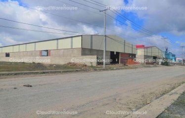 WH370, 7000m2 High Standard Warehouse at Long An