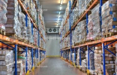 WH395, 10000m2 Cold Storage Warehouse at Long An