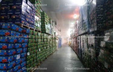 WH456, 8000m2 Cold Storage Warehouse at Hung Yen